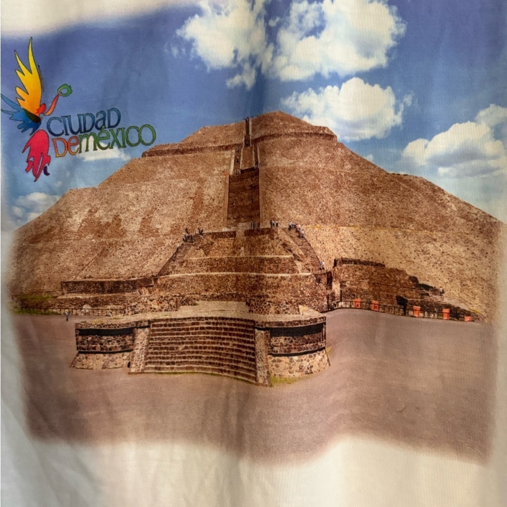 Holy Sheep NWT v-neck t-shirt print of the Pyramid archaeological Mexico. M - Picture 4 of 4